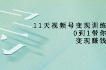 11天视频号变现训练营，从0到1打造变现赚钱系统-副业网