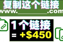 复制链接赚美元，一个链接可赚450+，利用链接点击即可赚钱的项目(视频教程)-副业网