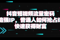抖音短视频流量密码：打造强IP，普通人如何抢占红利，快速获得财富-副业网