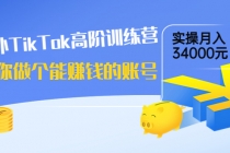 海外TikTok高阶训练营：教你做个能赚钱的账号，实操月入34000元！-副业网