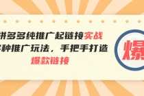 拼多多纯推广起链接实战：多种推广玩法，手把手打造爆款链接-副业网