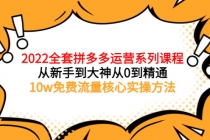 2022全套拼多多运营课程，从新手到大神从0到精通，10w免费流量核心实操方法-副业网