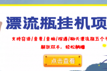 外面收费688的漂流瓶全自动挂机项目,号称单窗口稳定每天收益100+-副业网
