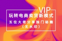 某收费培训：玩转电商卖货新模式，五位大佬分享独门秘籍-副业网