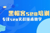 某收费培训课：黑帽客seo培训，专注seo实战技术教学！-副业网