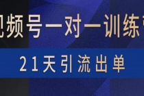 视频号训练营：带货，涨粉，直播，游戏，四大变现新方向，21天引流出单-副业网