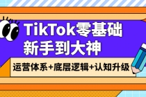 TikTok零基础新手到大神：运营体系+底层逻辑+认知升级-副业网