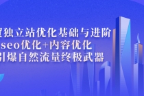 外贸独立站优化基础与进阶，seo优化+内容优化+引爆自然流量终极武器-副业网