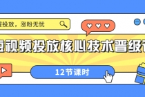 短视频投放核心技术晋级课：掌握投放，涨粉无忧-副业网