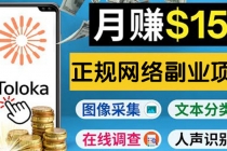 正规网络副业赚钱平台Toloka，利用业余时间月赚150美元-副业网