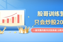 股哥训练营·只会炒股20期：一套完整的股市识别系统，分辨大涨、大跌！-副业网