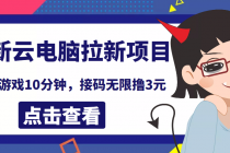 最新云电脑平台拉新撸3元项目，10分钟账号，可批量操作【详细视频教程】-副业网