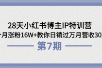28天小红书博主IP特训营《第6+7期》4个月涨粉16W+教你日销过万月营收30万-副业网