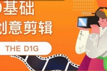 THE D1G零基础创意剪辑课，第一馆创意剪辑实操课-49节完整版-副业网