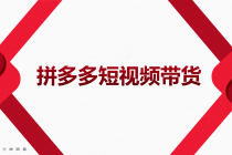 2022风口红利期-拼多多短视频带货，适合新手小白的入门短视频教程-副业网