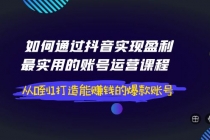 如何通过抖音实现盈利，最实用的账号运营课程  从0到1打造能赚钱的爆款账号-副业网