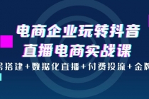 电商企业玩转抖音直播电商实战课：账号搭建+数据化直播+付费投流+金牌主播-副业网