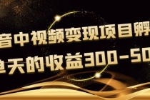 黄岛主《抖音中视频变现项目孵化》单天的收益300-500 操作简单粗暴-副业网