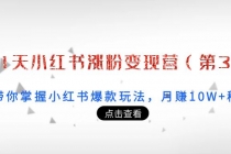 21天小红书涨粉变现营：带你掌握小红书爆款玩法，月赚10W+秘密-副业网