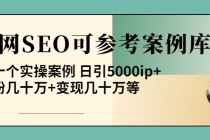 《全网SEO可参考案例库》几十个实操案例 日引5000ip+涨粉百W+变现几十W等!-副业网