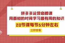 拼多多运营必修课：20节课每节5分钟左右，用最短的时间学习最有用的知识-副业网