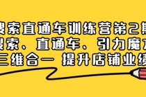 搜索直通车训练营第2期：搜索、直通车、引力魔方三维合一 提升店铺业绩！-副业网