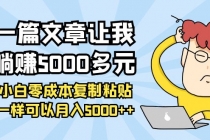 一篇文章让我躺赚5000多元，小白零成本复制粘贴一样可以月入5000++-副业网