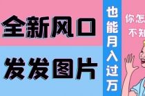 抖音头像号变现0基础教程：全新风口，发发图片也能变现月入10000+-副业网