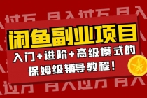 月入过万闲鱼副业项目：入门+进阶+高级模式的保姆级辅导教程！-副业网