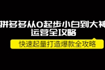拼多多从0起步小白到大神运营全攻略，快速起量打造10W+爆款全攻略！-副业网