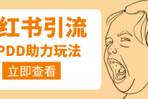 利用小红书卖拼多多助力，日赚100+，顺便还能引个流【视频课程】-副业网