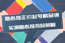 随心推正价起号精品课，实操随心推投放策略-副业网