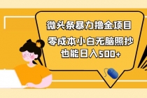 人人都能操作的微头条最新暴力撸金项目，零成本小白无脑搬运也能日入500+-副业网