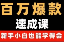 百万爆款速成课：用数据思维做爆款，小白也能从0-1打造百万播放视频-副业网