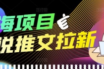 外面收费6880的小说推文拉新项目，个人工作室可批量做【详细教程】-副业网