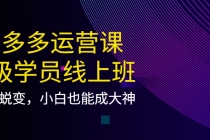 拼多多运营课：超级学员线上班，21天蜕变，小白也能成大神-副业网