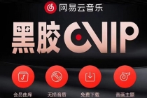 网易云撸黑胶年卡及变现方法，收益可无限放大-副业网
