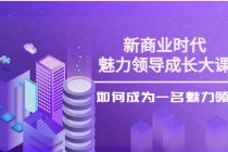 新商业时代·魅力领导成长大课：如何成为一名魅力领导者-副业网