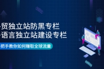 外贸独立站防黑专栏+多语言独立站建设专栏，手把手教你如何赚取全球流量-副业网