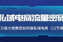 私域电商流量密码：千万级大佬教您如何做私域电商-副业网