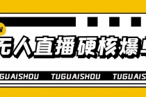大飞无人直播硬核爆单技术，轻松玩转无人直播，暴利躺赚-副业网
