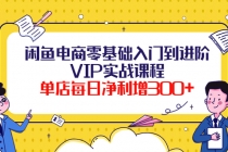 闲鱼电商零基础入门到进阶VIP实战课程，单店每日净利增300+-副业网
