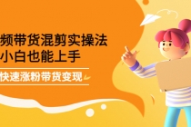 短视频带货混剪实操法，小白也能上手，快速涨粉带货变现-副业网