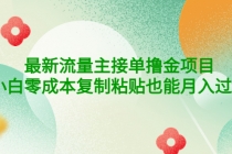 公众号最新流量主接单撸金项目，小白零成本复制粘贴也能月入过万-副业网
