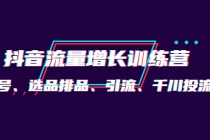 月销1.6亿实操团队·抖音流量增长训练营：起号、选品排品、引流 千川投流等-副业网