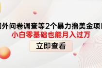 国外问卷调查等2个暴力撸美金项目，小白零基础也能月入过万-副业网