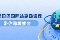 阿里巴巴国际站高级课程：带你跨境掘金，选品+优化+广告+推广-副业网