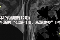 新媒体IP内训营(12期)，一套全新的“公域引流，私域成交”IP打法，直接带走-副业网