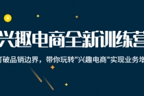 兴趣电商全新训练营：打破品销边界，带你玩转“兴趣电商“实现业务增长-副业网