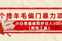 外面卖998的三个撸羊毛偏门暴力项目，小白零基础照抄日入300+-副业网